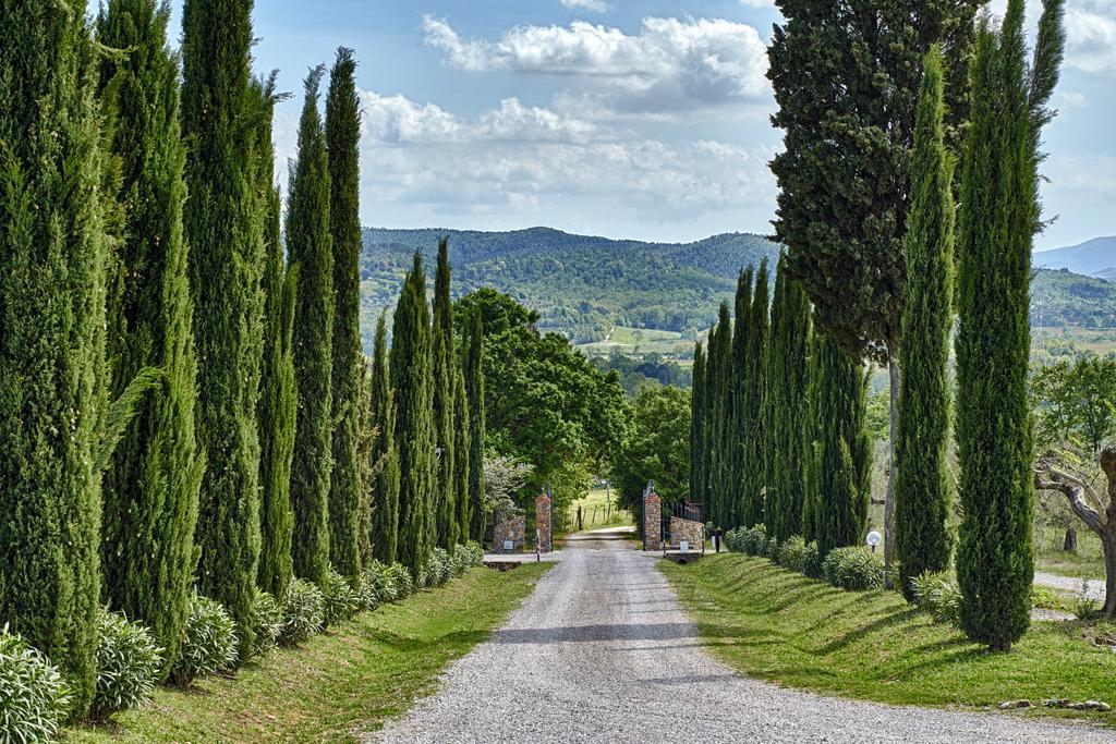Il Convento Di Monte Pozzali Villa Massa Marittima Luaran gambar